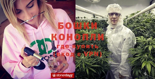 стаф Кущёвская