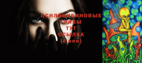 ГАЛЛЮЦИНОГЕННЫЕ ГРИБЫ Козловка