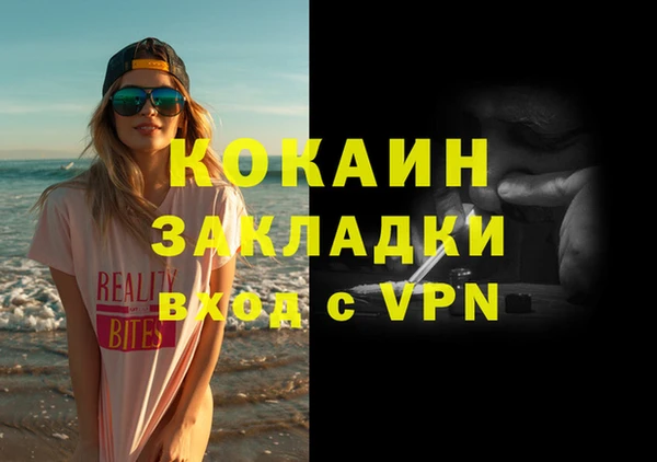 ГАЛЛЮЦИНОГЕННЫЕ ГРИБЫ Козловка