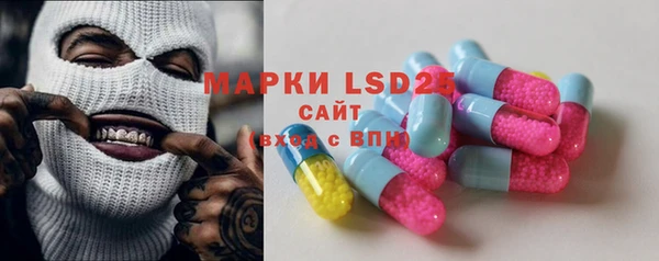 ГАЛЛЮЦИНОГЕННЫЕ ГРИБЫ Козловка