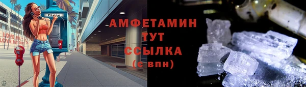 ГАЛЛЮЦИНОГЕННЫЕ ГРИБЫ Козловка