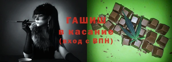 стаф Кущёвская