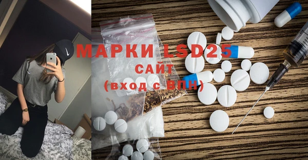 ГАЛЛЮЦИНОГЕННЫЕ ГРИБЫ Козловка