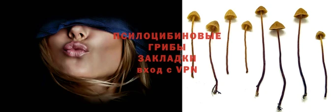 кокаин колумбия Козельск