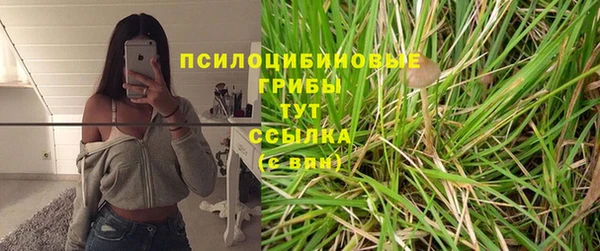 apvp Александровское