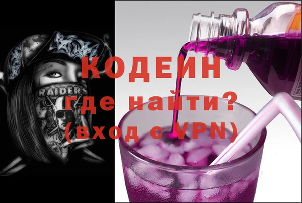 ГАЛЛЮЦИНОГЕННЫЕ ГРИБЫ Козловка