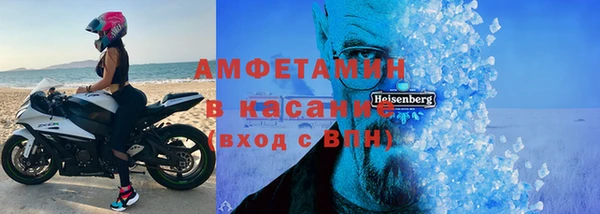 ГАЛЛЮЦИНОГЕННЫЕ ГРИБЫ Козловка