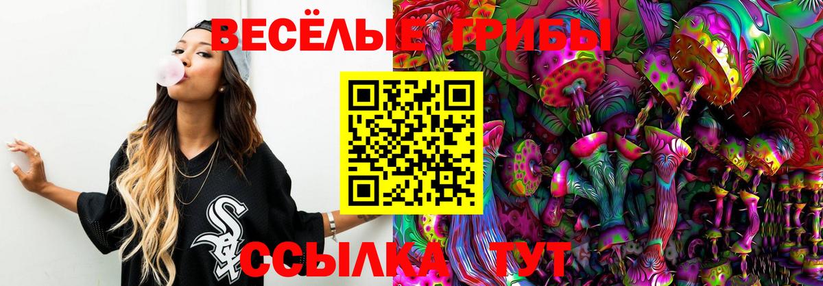 Галлюциногенные грибы GOLDEN TEACHER  Вход с VPN  Чапаевск 